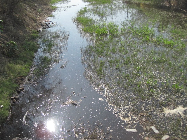 The Kali originates from the forest region in Antwada village in Jaansad tehsil of Muzafarnnagar dis