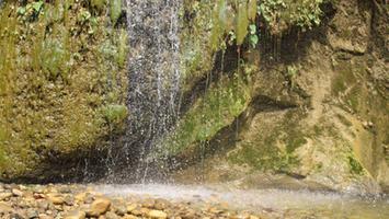 Preserving India's Water Systems: Our Partnership with Pani Ki Kahani