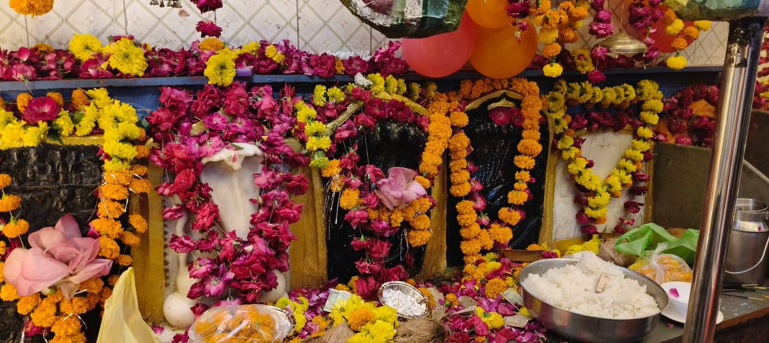 -किसान नेता श्यामलाल जोकचन्द्र जी ने बताया कि आज नाग पंचमी के अवसर पर देवनारायण
देवरा महावीर गंज पिप