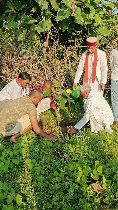 -पर्यावरण प्रहरी गुलाबचंद कुशवाहा जी ने बताया कि  पुण्यतिथि पर बरगद का पौधा लगाना बहुत ही शुभ और परो