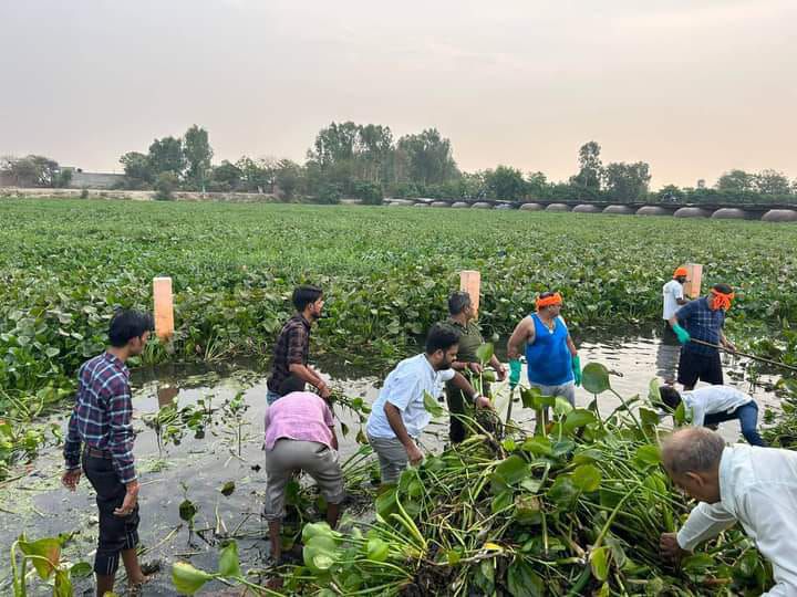 -बीते दिवस गंगा समग्र अवध प्रांत लखनऊ महानगर की ओर से मां गोमती स्वच्छता अभियान के अंतर्गत गऊघाट पर 