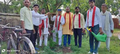 स्व. बृजलाल कुशवाहा जी की  याद में विद्यालय परिसर कुलकुम्हारी  बांदा में लगाए गए कदम और अशोक के पांच पौधे