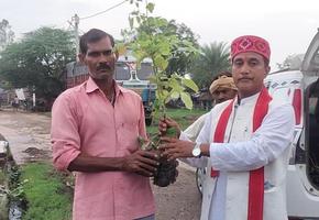 संकल्प के 2100 पौधे  में से गुलाबचंद्र कुशवाहा जी द्वारा  अब तक की सुरक्षित स्थानों पर 2097 पौधे लगाए जा चुके हैं.