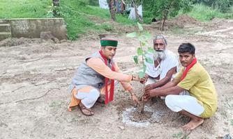 बाँदा जिले को हरा-भरा रखने के लिए प्रत्येक स्थान में अधिक से अधिक किया वृक्षारोपण