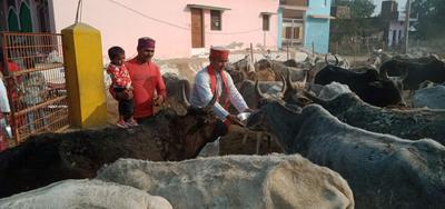 गौ माता का पूजन करते समाज सेवी गुलाब चंद्र कुशवाहा जी