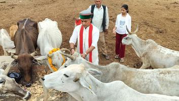 गुलाबचन्द्र कुशवाहा- गाय माता की सेवा और उनके आशीर्वाद से हुई जन्मदिन की शुरुवात