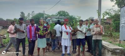 संकल्प के 2100 पौधे  में से गुलाबचंद्र कुशवाहा जी द्वारा  अब तक की सुरक्षित स्थानों पर 2097 पौधे लगाए जा चुके हैं.