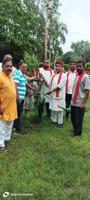 संकल्प के 2100 पौधे  में से गुलाबचंद्र कुशवाहा जी द्वारा  अब तक की सुरक्षित स्थानों पर 2097 पौधे लगाए जा चुके हैं.