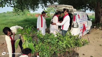 स्व. बृजलाल कुशवाहा जी की  याद में विद्यालय परिसर कुलकुम्हारी  बांदा में लगाए गए कदम और अशोक के पांच पौधे