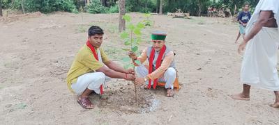 वृक्षारोपण अभियान के तहत जनपद वासियों से अपने घरों में एक पेड़ लगाने की करी अपील