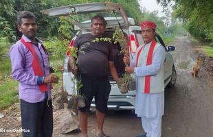 संकल्प के 2100 पौधे  में से गुलाबचंद्र कुशवाहा जी द्वारा  अब तक की सुरक्षित स्थानों पर 2097 पौधे लगाए जा चुके हैं.