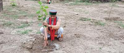 वृक्षारोपण अभियान के तहत जनपद वासियों से अपने घरों में एक पेड़ लगाने की करी अपील