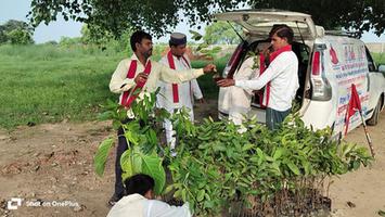 स्व. बृजलाल कुशवाहा जी की  याद में विद्यालय परिसर कुलकुम्हारी  बांदा में लगाए गए कदम और अशोक के पांच पौधे