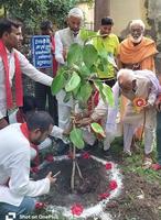 समाजसेवी श्री गुलाबचंद कुशवाहा जी ने सभी जनपद वासियों से  कम से कम एक-एक पौधा लगाने की अपील की