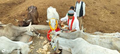 समाजसेवी गुलाबचन्द्र कुशवाहा जी ने जन्मदिन पर फिजूल खर्च नहीं करने की करी अपील