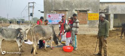 समाजसेवी ने  गौमाता का पूजन कर खिलाया गुड़-चना