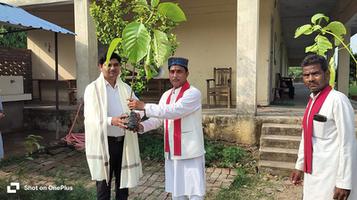 स्व. बृजलाल कुशवाहा जी की  याद में विद्यालय परिसर कुलकुम्हारी  बांदा में लगाए गए कदम और अशोक के पांच पौधे
