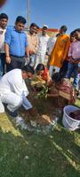 डी.पी भारती- सभी ग्राम पंचायतों के अमृत कलश ब्लॉक मुख्यालय पर किये गये एकत्र, "अमृत वाटिका" में किया गया वृक्षारोपण