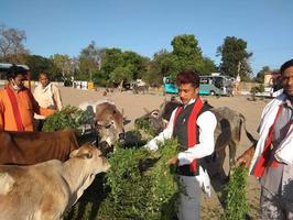 गौ माता का पूजन करते समाज सेवी गुलाब चंद्र कुशवाहा जी