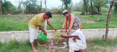 बाँदा जिले को हरा-भरा रखने के लिए प्रत्येक स्थान में अधिक से अधिक किया वृक्षारोपण