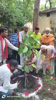 समाजसेवी श्री गुलाबचंद कुशवाहा जी ने सभी जनपद वासियों से  कम से कम एक-एक पौधा लगाने की अपील की