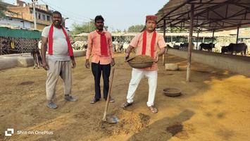 गौ माता का पूजन करते समाज सेवी गुलाब चंद्र कुशवाहा जी