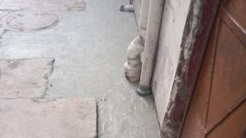 मुकेश सिंह मोंटी - गड्ढा मुक्त वार्ड की ओर एक कदम  नागरिकों की सुरक्षा हमारी प्राथमिकता