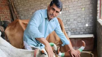 गोमाता: सेवा, संस्कृति और आत्मनिर्भर भारत की प्रेरणाशक्ति