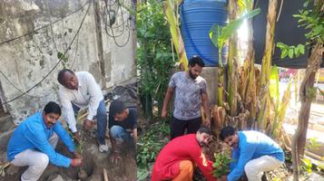 विश्व पर्यावरण दिवस पर वृक्षारोपण: हरित भविष्य के लिए एक संकल्प
