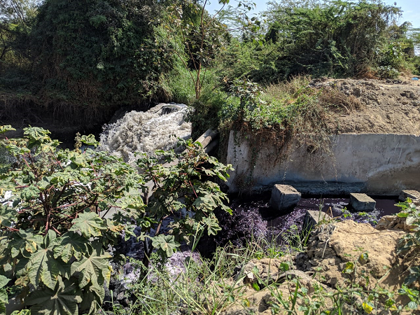 Pani ki Kahani : Sabarmati river update - Joint inspection of PSS and GPCB shows the disastrous coondition of Sabarmati in Ahmedabad city stretch