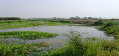 कोसी नदी - बेलका जलाशय परियोजना
