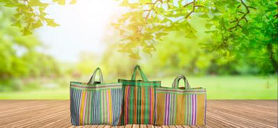 Path to Sustainability