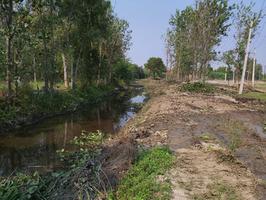 Clean Kali, Green Kali : Revival of the East Kali River origin is continuing rapidly