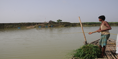 महानंदा नदी अपडेट - बाढ़ों के साथ जीवन निर्वाह