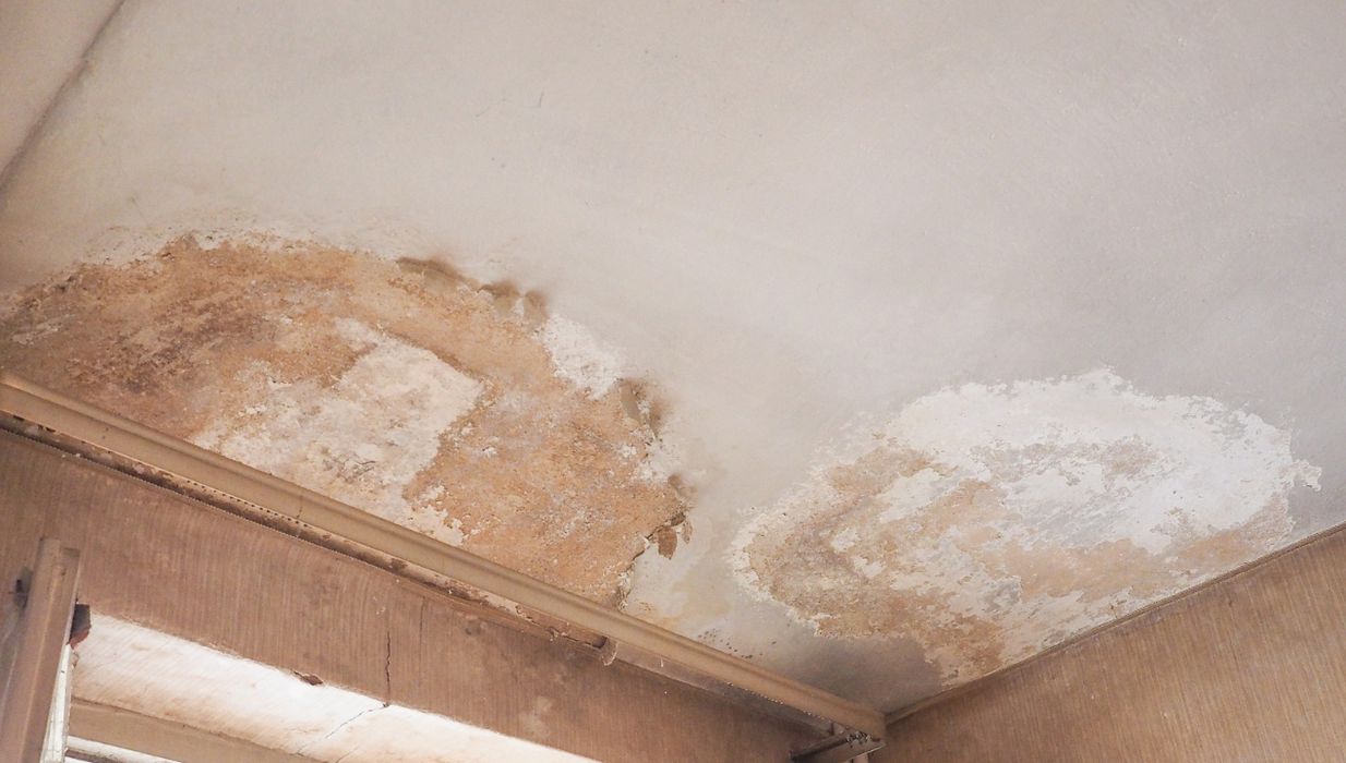 -Rising damp has been troubling home owners since ancient times. Rising damp in concrete and masonry