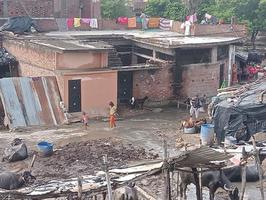 जलभराव की समस्या ने किया आमजन का जीना दूभर, पार्षद ने दिलाई समस्या से निजात