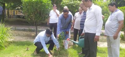 हरे भरे प्रदेश के लिए प्रयास शुरू, वार्ड के विभिन्न पार्कों में रोपें पौधे