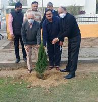 पौधरोपण के जरिए मैथिलीशरण गुप्त वार्ड में दिया गया पर्यावरण संरक्षण का संदेश