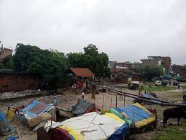 जलभराव की समस्या ने किया आमजन का जीना दूभर, पार्षद ने दिलाई समस्या से निजात
