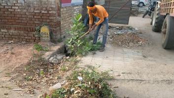 दिलीप श्रीवास्तव - मैथिलीशरण गुप्त वार्ड में चला सफाई अभियान, नालियों से निकाला कचरा