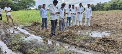 भारी बारिश से फसलों को नुकसान, श्यामलाल जोकचंद ने सरकार से की किसानों को मुआवजा दिलाने की मांग