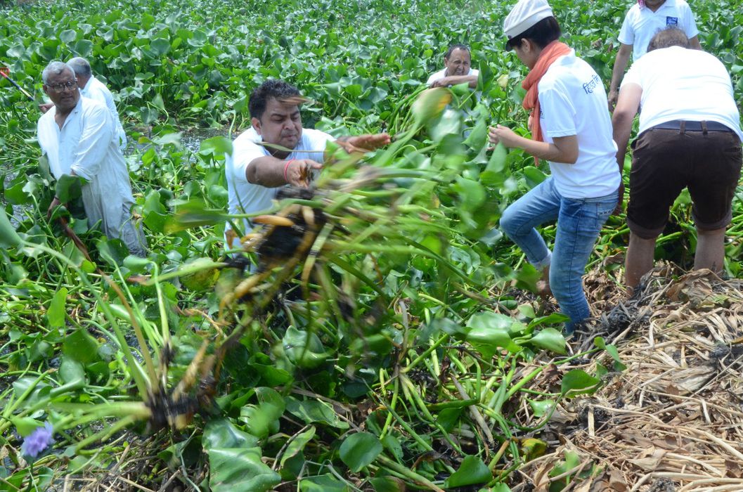 East Kali River AboutThe Kali River East, a tributary of the Ganges