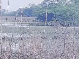 my visit to sultanpur national park