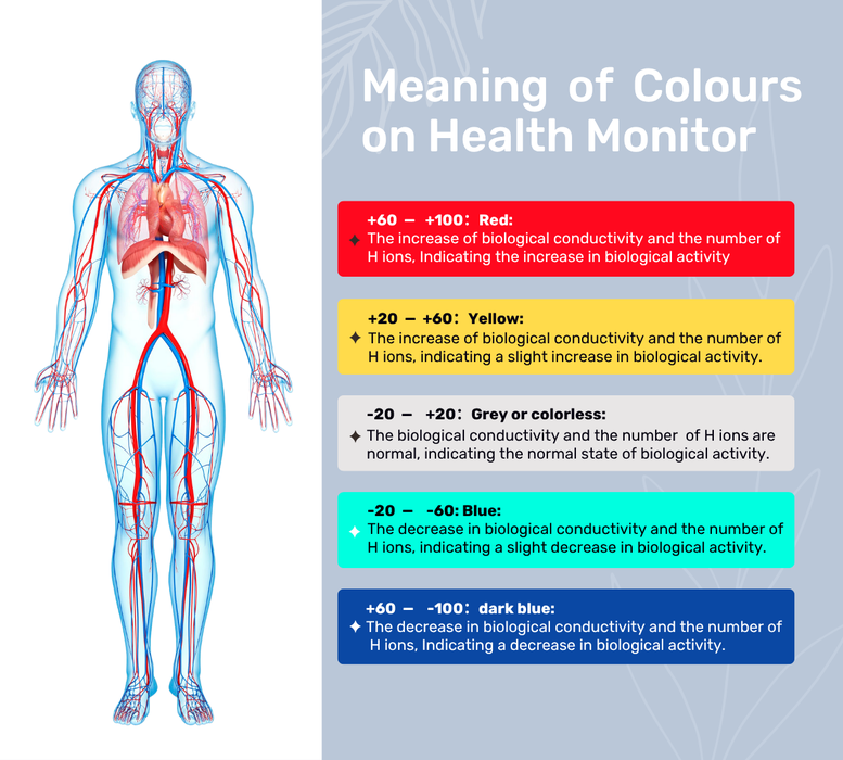 -HRA-II is a functional medical testing equipment for early disease screening and health risk assess